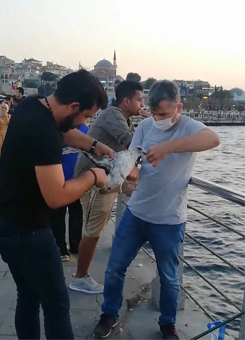 (Özel) Üsküdar’da balıkçı oltasına dolanan martıyı vatandaşlar kurtardı
