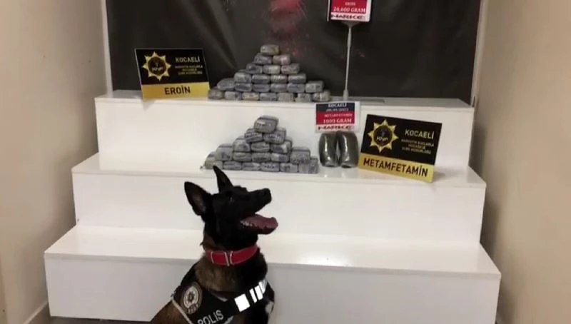 Tıra gizlenen 20 kilogram eroini Talisca buldu
