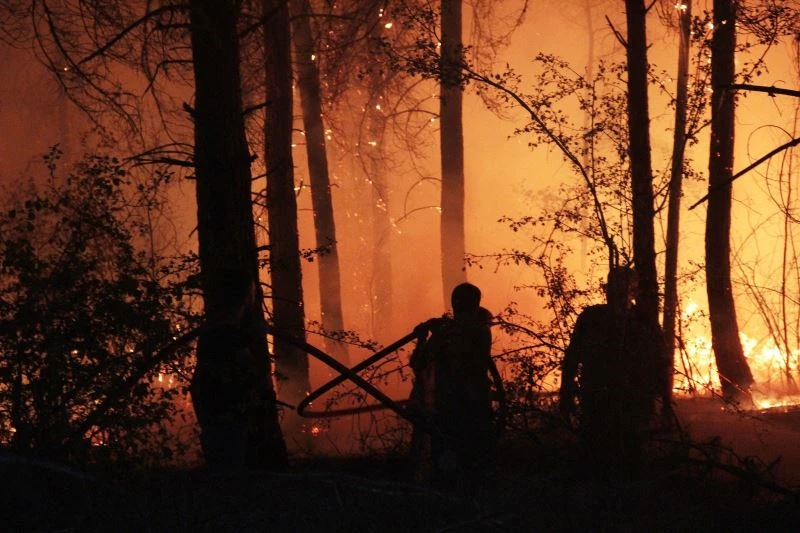 Muğla’da ormanlara giriş 1 Ekim’e kadar uzatıldı
