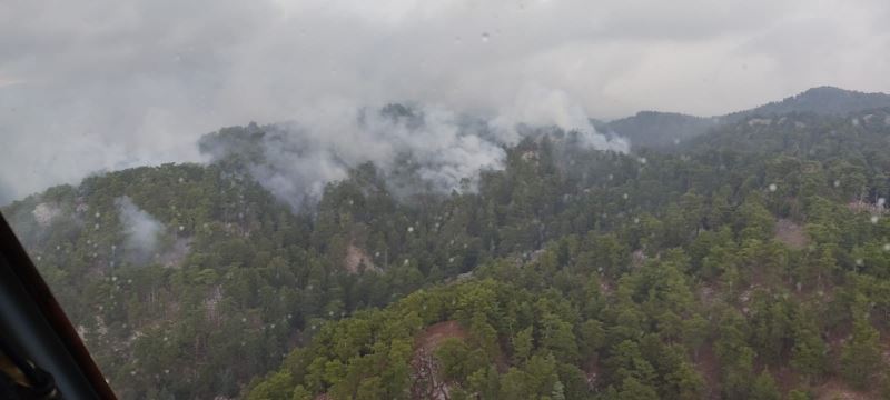 Antalya’da düşen yıldırım, 4 hektarlık ormanı yaktı
