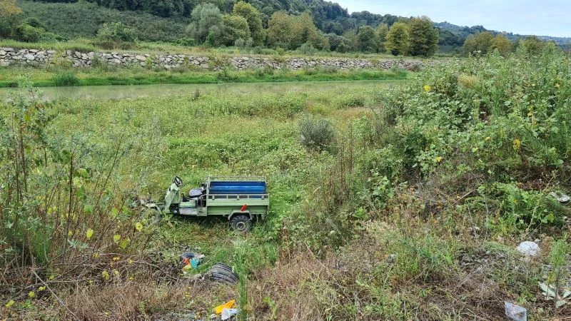 Pat pat sürücüsü köpeğe çarpmamak için çaya uçtu
