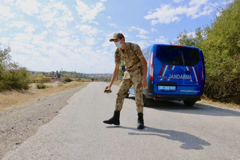 Amasya jandarmasının ’kaplumbağa’ mesaisi
