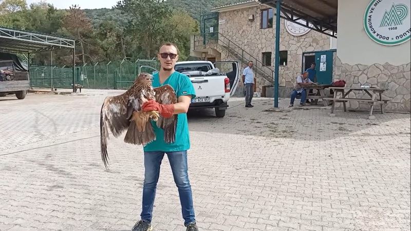 Kartallar yeniden mavi göklerle buluştu
