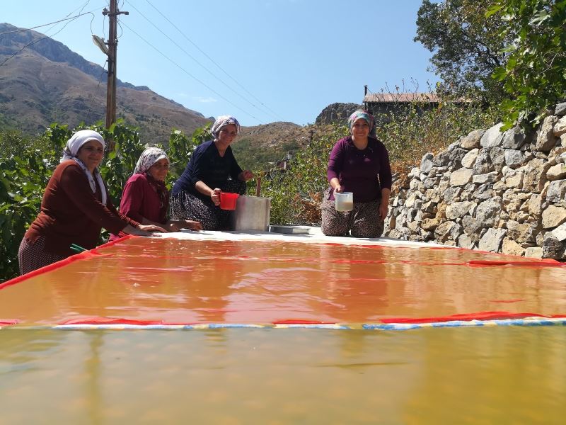 (Özel) Kemaliyeli kadınların pestil mesaisi
