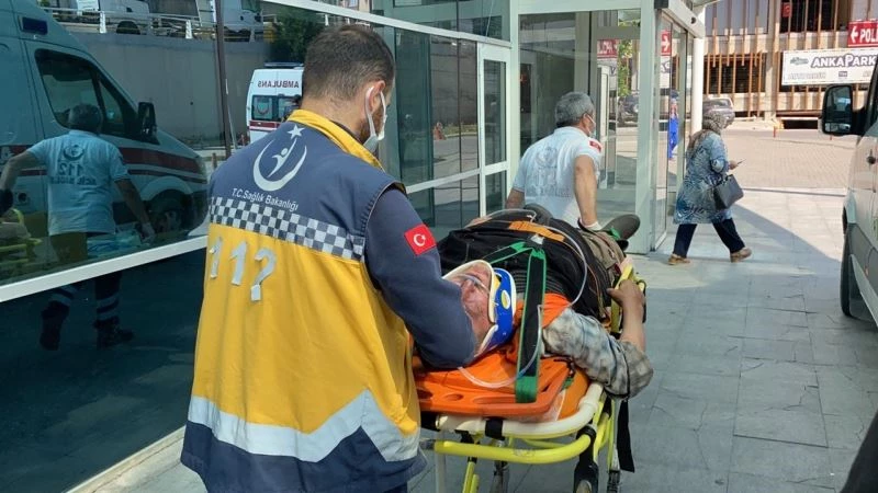 Ağaç dallarının altında kalan iki kişi yaralandı
