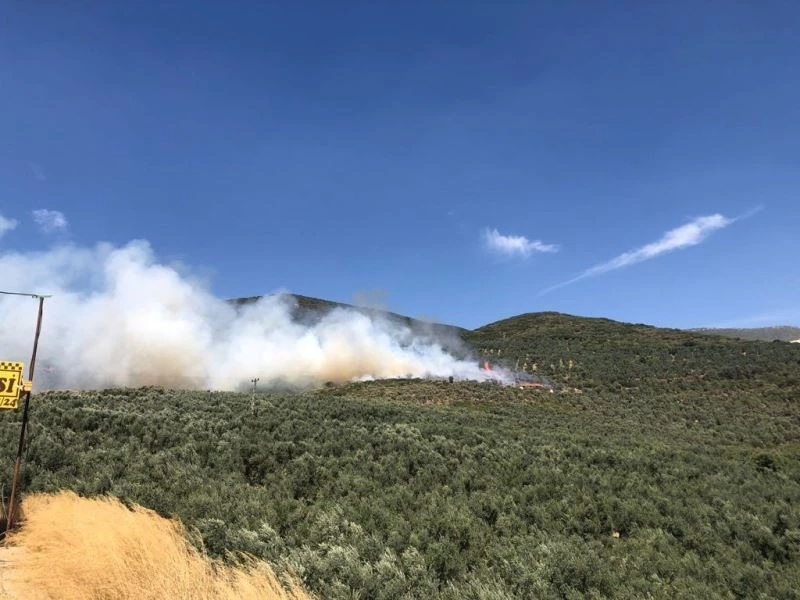 Bursa’da hastane yakınında bulunan ormanlık alanda yangın çıktı
