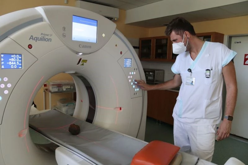 Çekya’da bir köpek 14. yüzyıldan kalma hazine buldu
