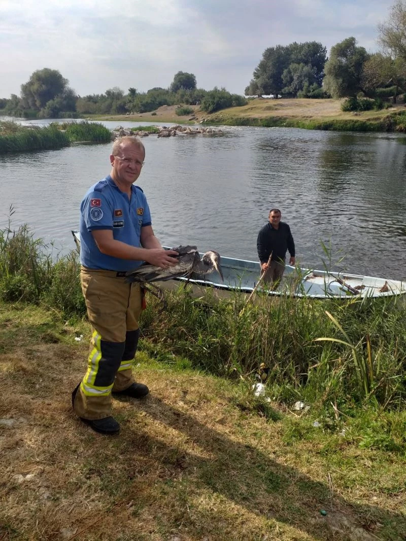 Derede misinaya takılan balıkçıl kuşunu itfaiye kurtardı

