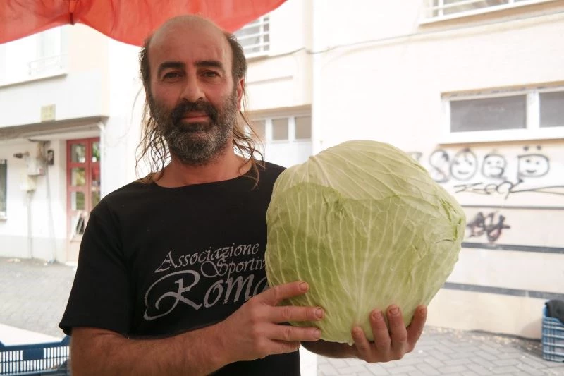 Lahana geçen senenin yaralarını sarıyor
