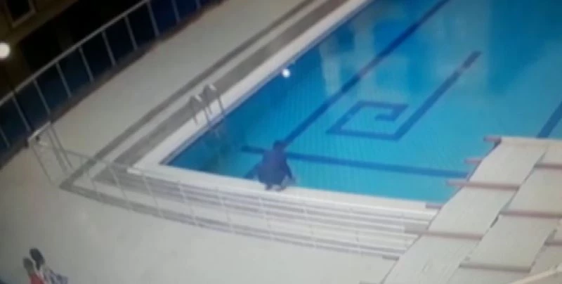 Havuzda ölmek üzere olan martıyı böyle kurtardı
