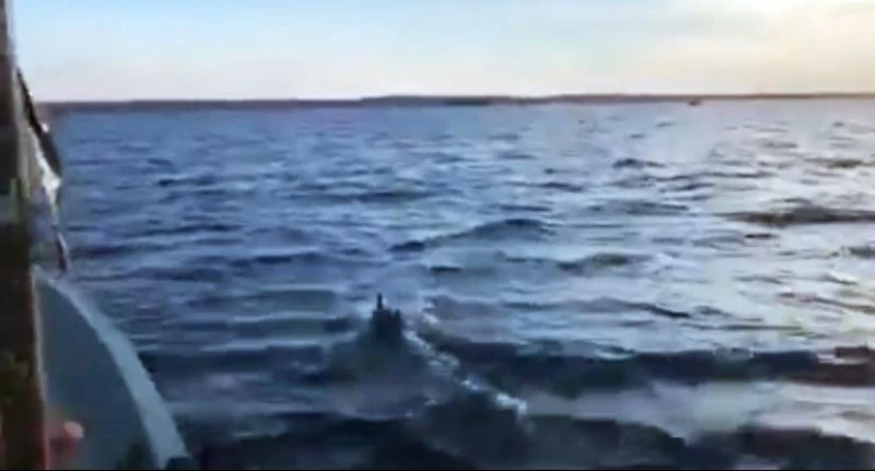 Yunuslar tekneyle yarıştı
