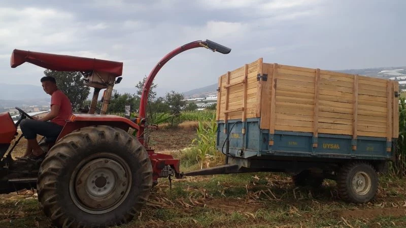 Süt verimini artıran silaj yemler hazırlanmaya başladı
