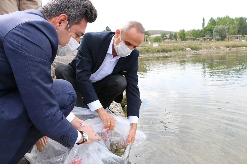 Yarım milyon yavru balık gölle buluşturuluyor
