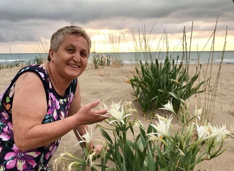 Koruma altındaki kum zambakları çoğalıyor
