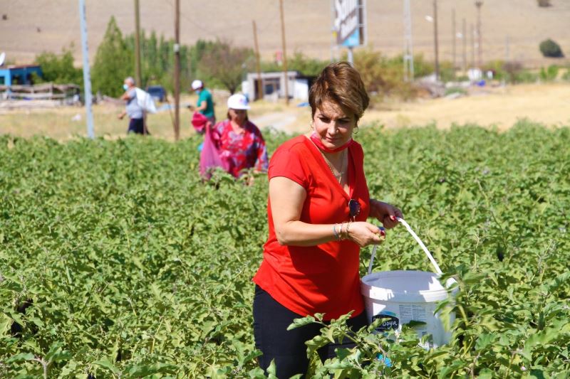 Marketlerdeki fahiş fiyata kızdı, tarlasını vatandaşlara açtı
