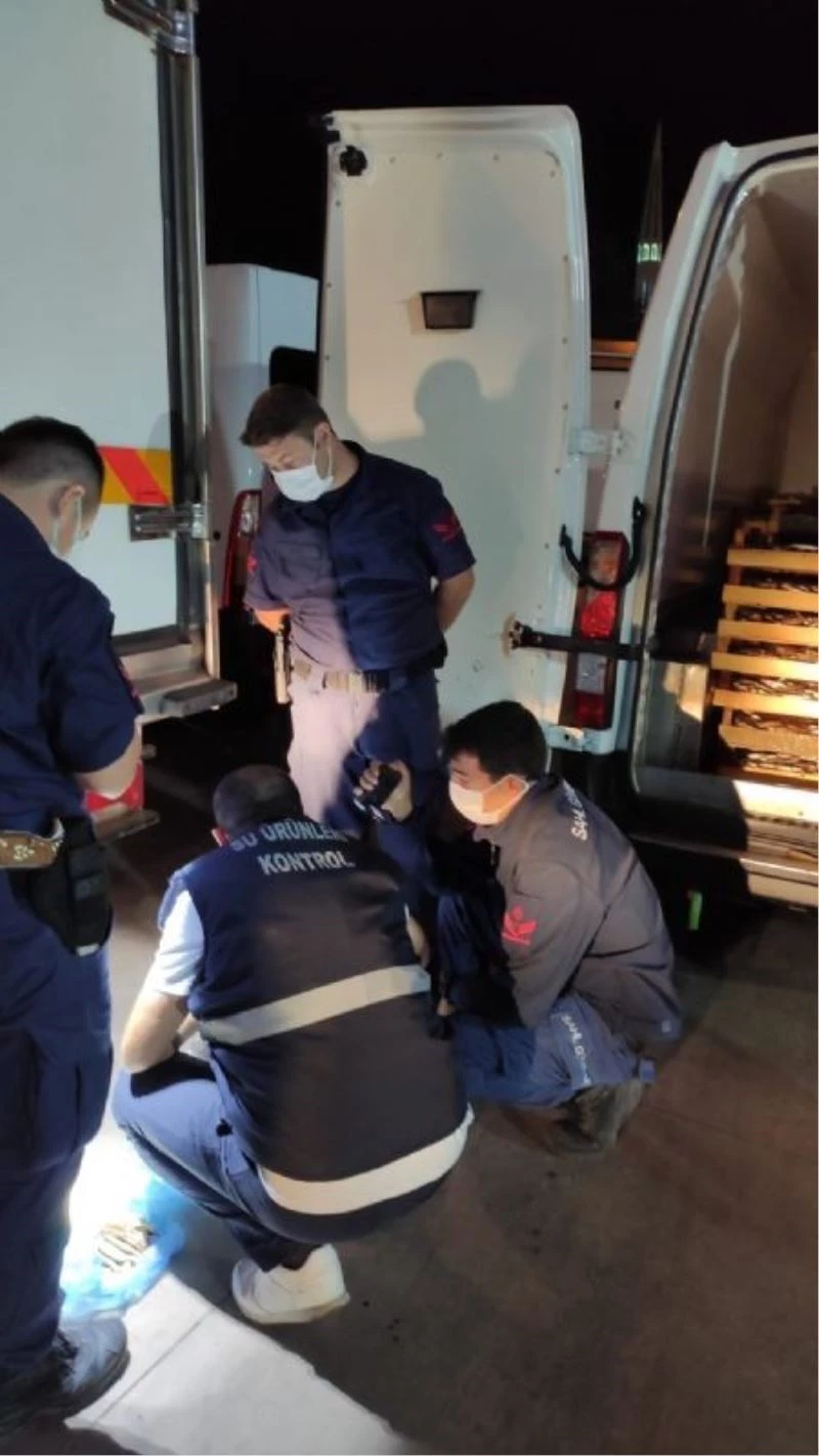 Yasal sınırın altındaki 602 kilo balığa el konuldu
