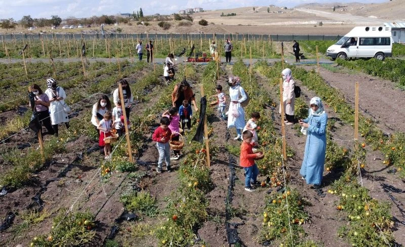 Doğayla baş başa bostan keyfi
