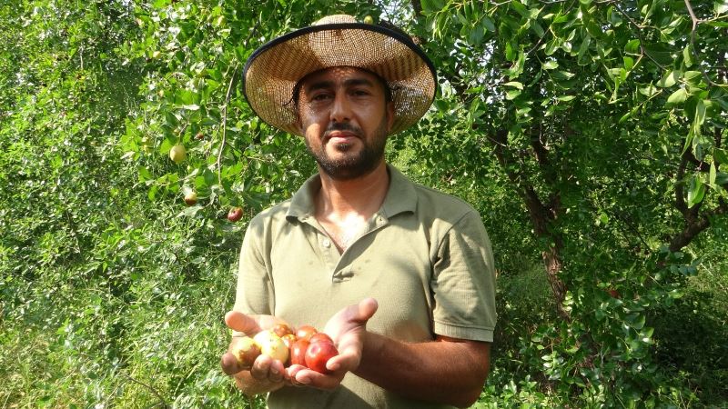 Yoldan geçen hünnap tüccarı hayatını değiştirdi
