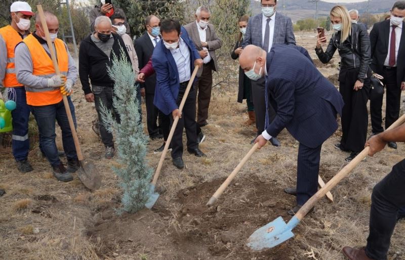 Başkan Altınok Melis Şimşek Hatıra Ormanı’na fidan dikti
