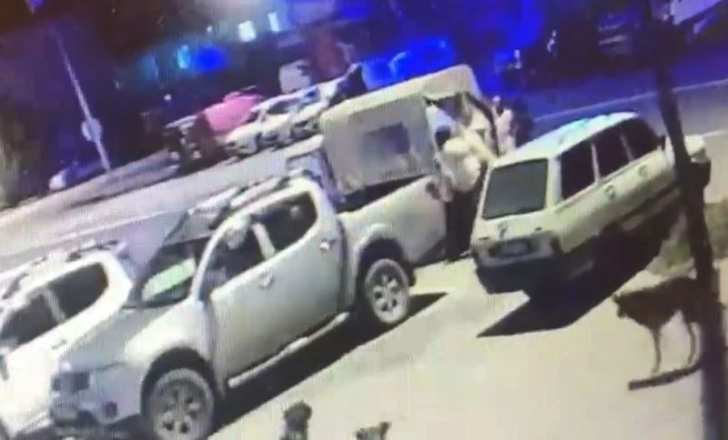 Sokak hayvanlarının kaybolduğunu fark ettiler, dedektif gibi kayıp köpeklerin izini sürdüler
