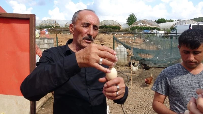 (Özel) Yumurtanın tazeliğini saptamak için 55 yıllık ustadan görülmemiş ‘dönme’ yöntemi
