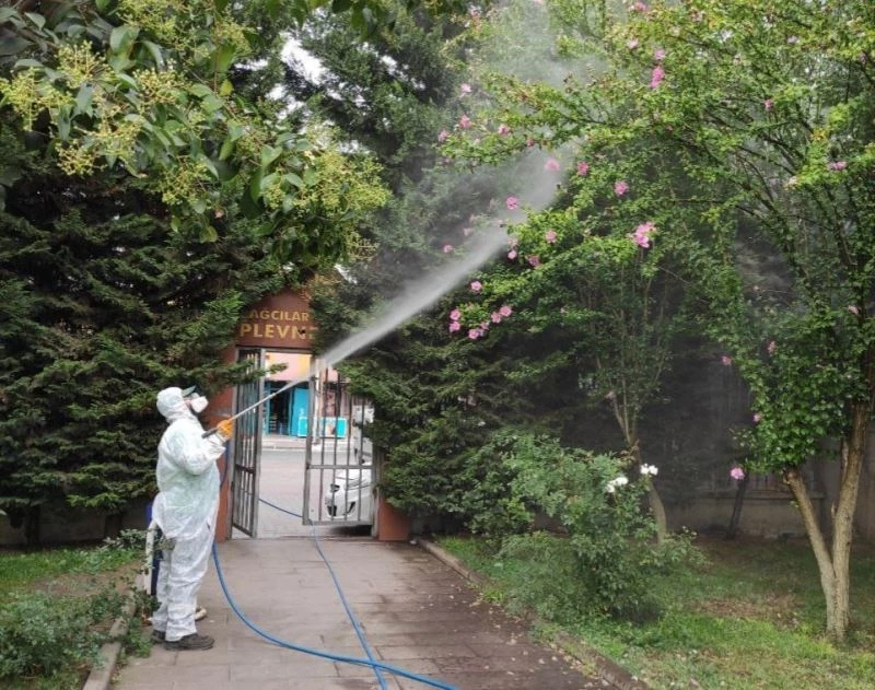 Bağcılar’da dantel böceğine karşı bütün önlemler alındı
