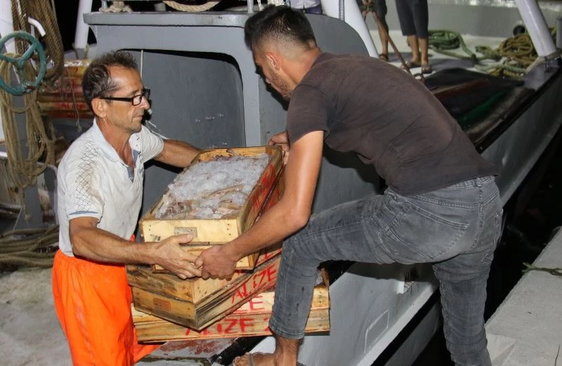 Akdeniz’den balıkçılar ilk avları ile dönmeye başladı
