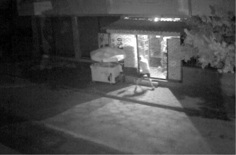 Demir kesme makasıyla iş yeri soymaya kalkan şahıs yakalandı
