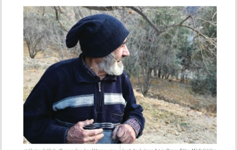 Halim amcanın ağaçları da onunla birlikte yeni yaşam alanına taşındı
