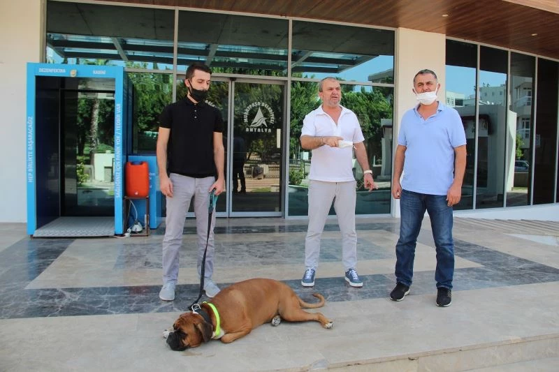 Site bahçesine köpek girmesinden çıkan kavgada yeni görüntüler ortaya çıktı
