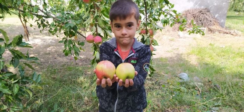 Bu elma tazeliğini aylarca koruyor
