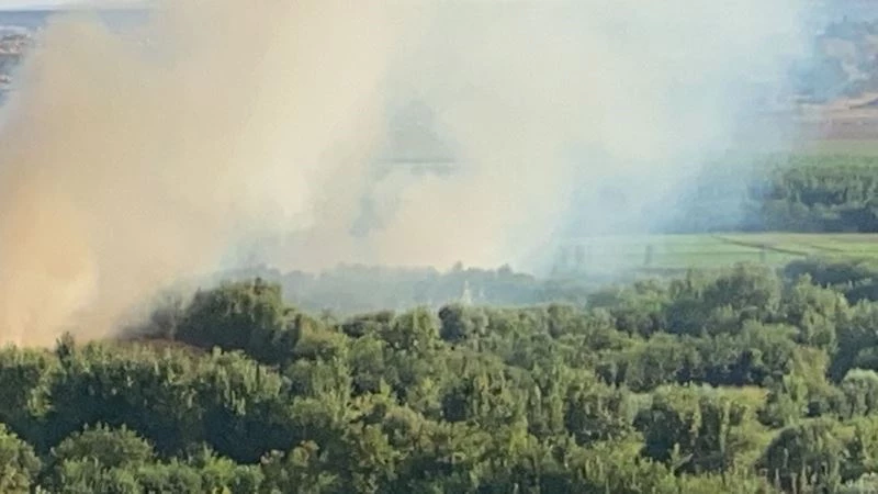 Hevsel Bahçeleri’nde korkutan yangın
