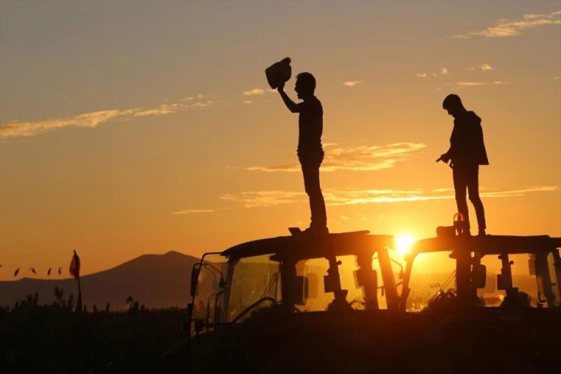 Kahramanmaraşlı çiftçilerin kuşlara karşı traktörleriyle 