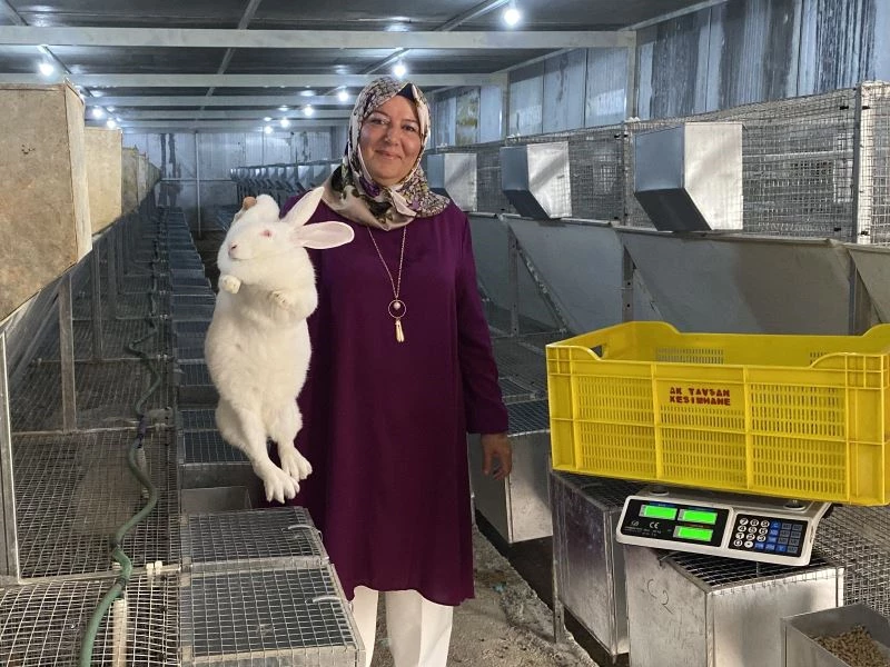  Emekli kadın polis hobi olarak başladığı tavşan üretiminde devlet desteğiyle büyüdü
