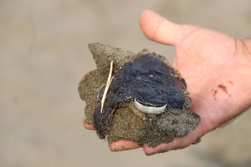 Samandağ sahiline vuran petrol atıkları canlıları tehdit ediyor
