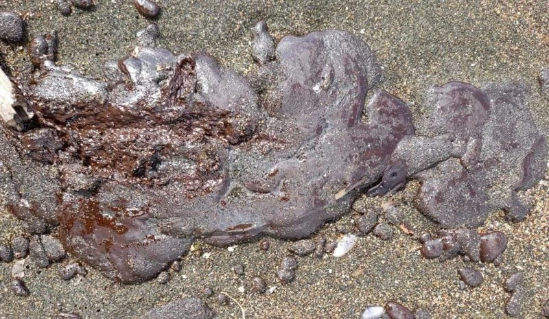 Hatay Büyükşehir’den vatandaşlara 