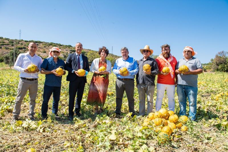 Tadı, dayanıklılığı, aromasıyla meşhur Çeşme kavunu tescillendi
