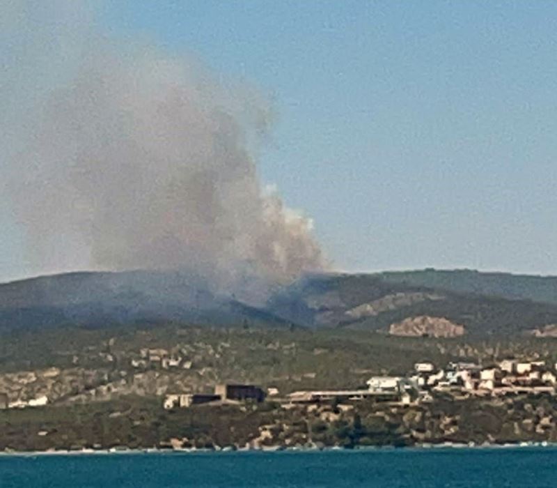 Kıyıkışlacık’ta ormanlık alanda yangın başladı
