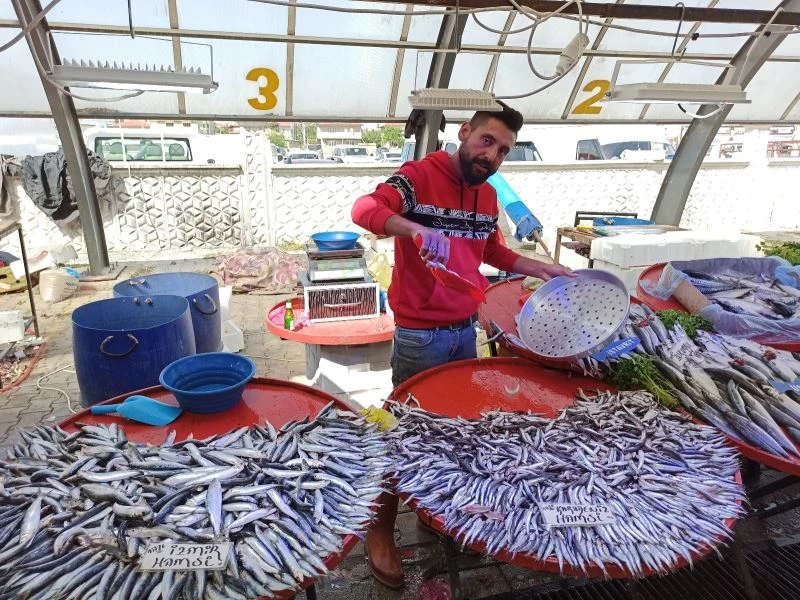 Balık sezonu açıldı, tezgahlarda hamsi bolluğu yaşanmaya başlandı
