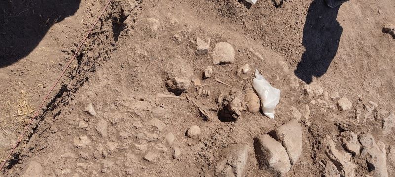 Domuztepe Höyüğü’nde Orta Çağ’da yaşamış çocuğun iskeleti bulundu
