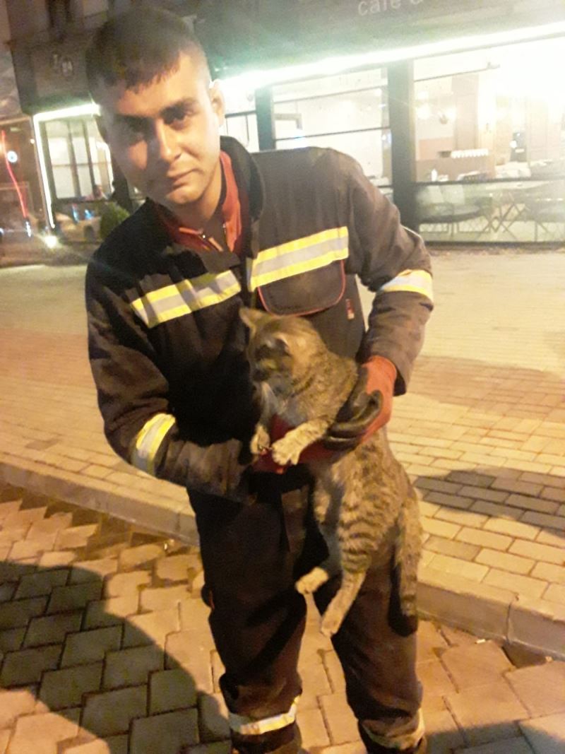 Otomobilin motor bölümünde mahsur kalan kedi kurtarıldı
