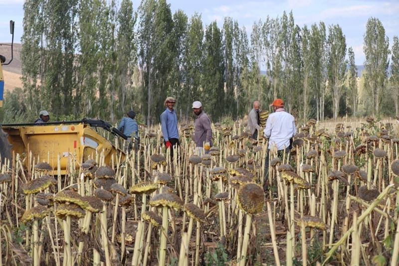 Çayırlı’da 