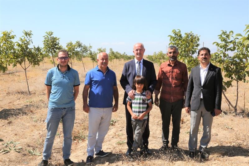 Tuşba Belediyesi’nin öncülük ettiği ‘Model ceviz-badem’ bahçelerinde ürün alınmaya başlandı
