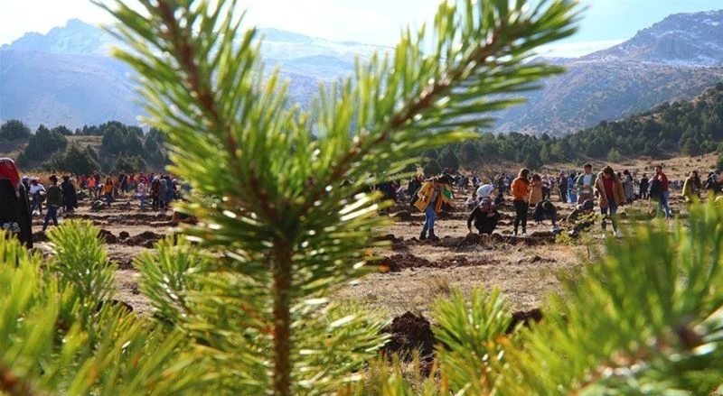 Yılsonuna kadar Erzincan’da 795 bin fidan dikilecek
