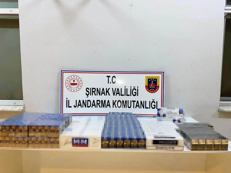 Şırnak’ta 22 bin 200 karton kaçak sigara ele geçirildi
