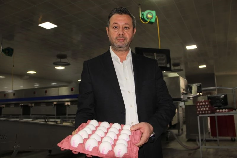 Kuraklık nedeniyle artan yem fiyatları yumurtaya yansıdı
