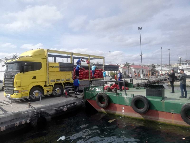 Bayrampaşa Sebze Hali’nde yasadışı avlanılan 9.5 ton midye ele geçildi
