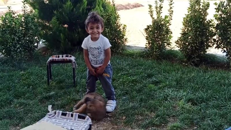 Minik çocukla yavru köpeğin oynaması kameraya yansıdı
