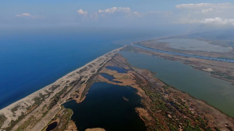 Karacabey longoz ormanlarında sonbahar güzelliği
