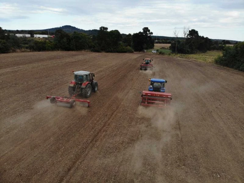 Trakya’nın sarı gelini kanolanın ekimi başladı
